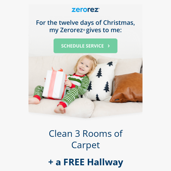 Santa's Little Helpers: Zerorez Elves Bring Clean Carpets to Your Home!