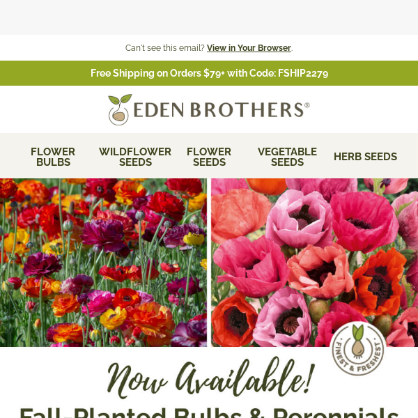 📣 Announcing Fall Bulbs Available to Pre-Order!