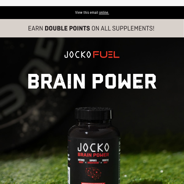 New Supplement: Brain Power ⚡