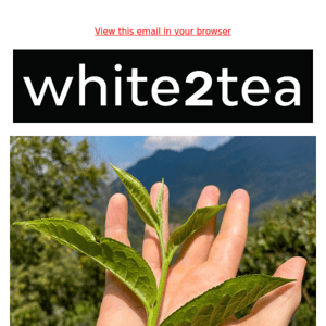 free global shipping sale on white2tea