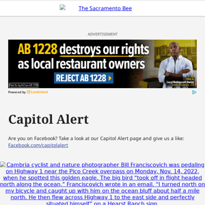 Bill deciding liability for fast food worker safety pulled + Will Newsom's law kill eagles?