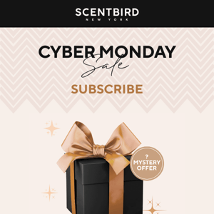 Mystery Cyber Monday is on now