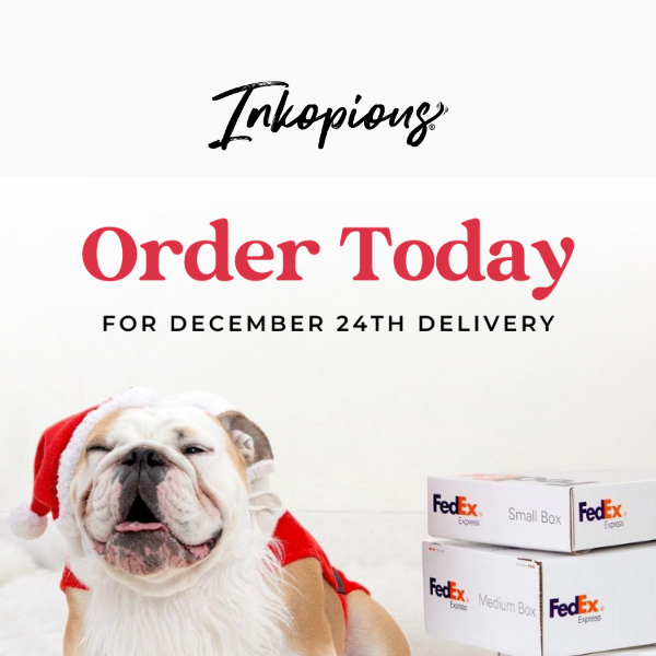 🎁 ORDER TODAY for Dec 24th Delivery 🎁