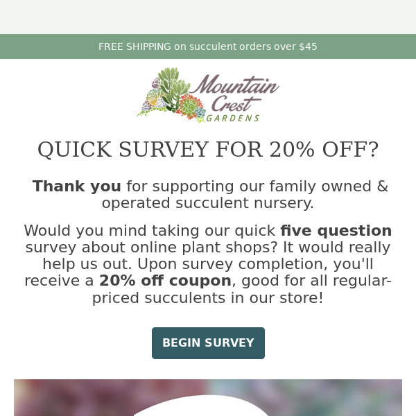 Quick Survey, Big Savings! 🌵