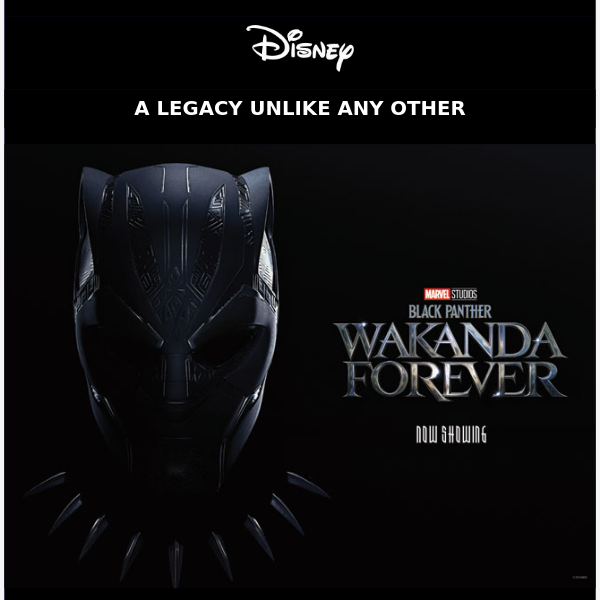 It's time to return to Wakanda. 🖤