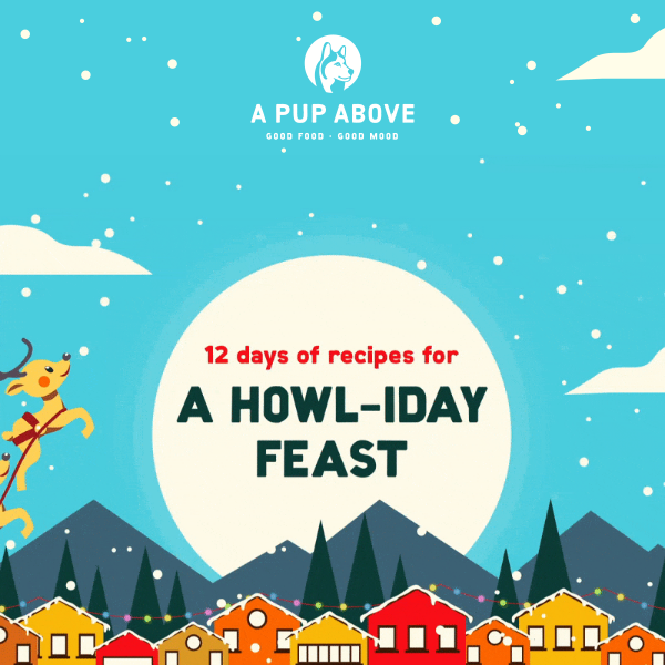 12 days of holiday fun!