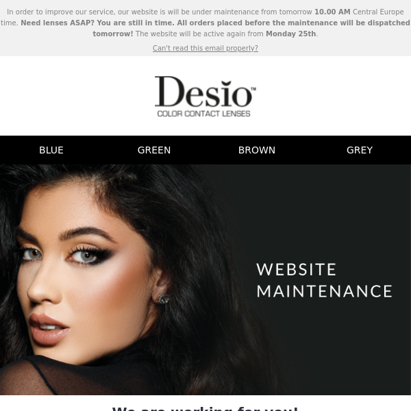 Website Maintenance 🛠