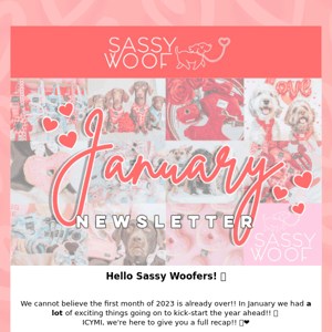 Sassy Woof January Newsletter ❤️