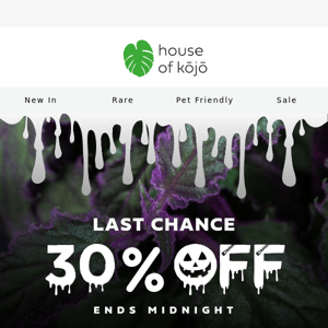 Your last chance to get 30% off 🎃🌿
