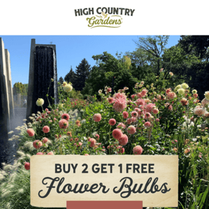 Buy 2 Get 1 Free Spring Bulbs & Perennials