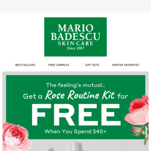 Please accept this Rose (Gift Set), FREE!