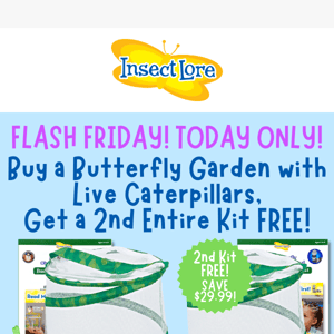 Flash Friday! BOGO Butterfly Garden! First Time Ever!