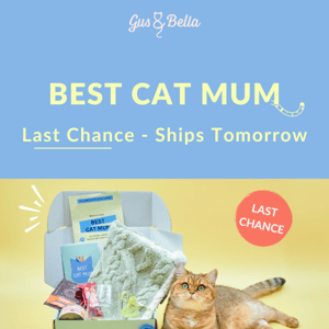 Shipping tomorrow 🚚🌼 Treating Kitty?