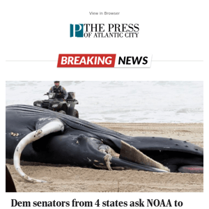 Dem senators from 4 states ask NOAA to address whale deaths