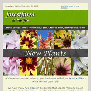 🌿 New Plants