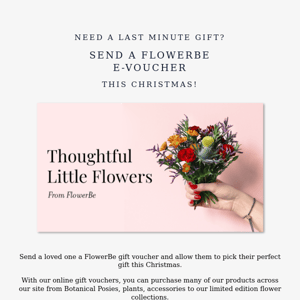 Need a last minute Christmas gift? 🎁 Send a FlowerBe e-voucher for a worry-free gift! 🎄