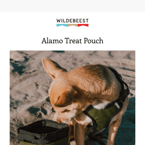 🐶 Beest Academy: Alamo Treat Pouch