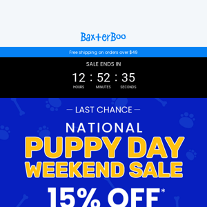 Ending Soon ⚠️ 15% Off puppy and kitten needs