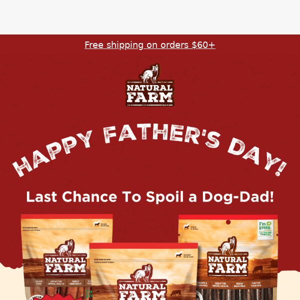 Hurry! Father's Day Sale Ends Today!