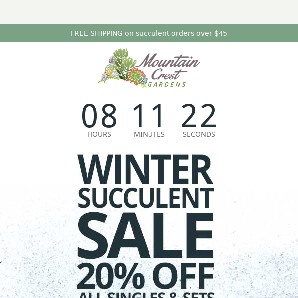 Winter Succulent Sale Ends Today! 🌵