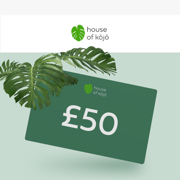 Win a £50 voucher to spend at House of Kojo! 🌱🎁