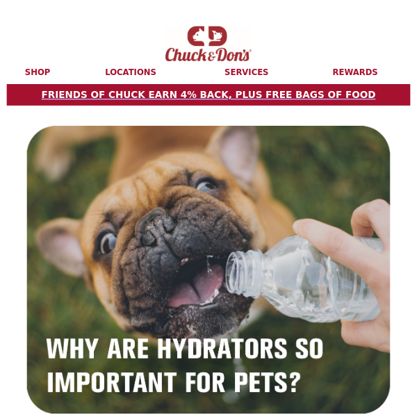 Let's talk Hydrators for your pet