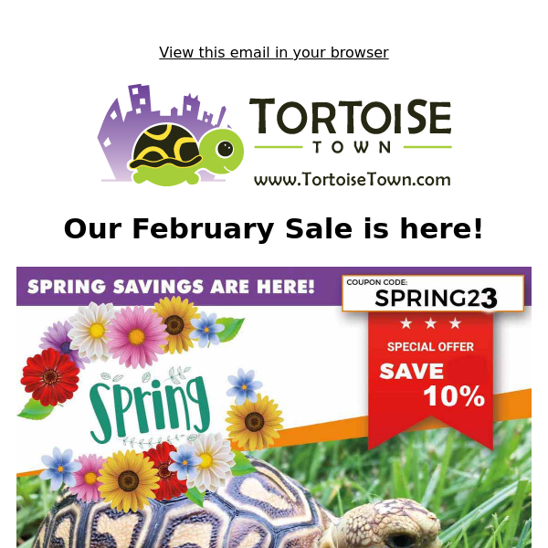 Tortoise Town's February Sale is here!