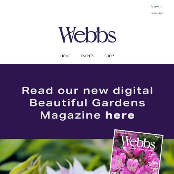 Our brand new digital Summer magazine is now here 🌺