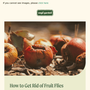 Troubled by Fruit Flies?🐞Get Expert Tips & Save Up to 40%!