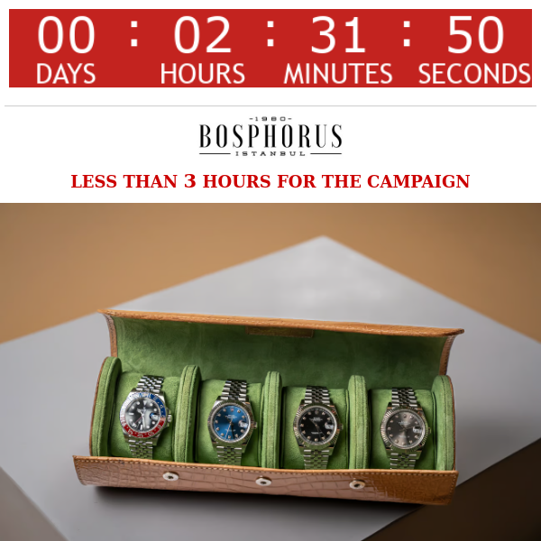 Bosphorus leather 4 case roll for $374 for sale from a Private Seller on  Chrono24