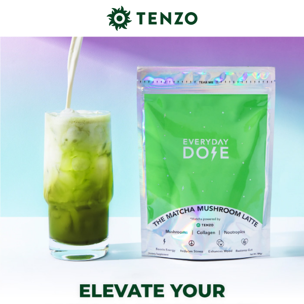 Discover the Power of Mushroom Matcha + 🍄🍵 (Made with Tenzo Matcha)