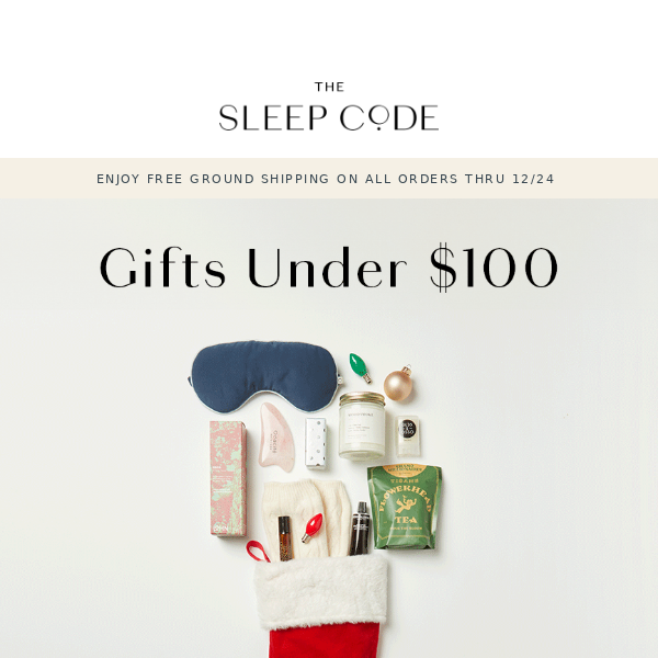 GIFTS UNDER $100 🎁