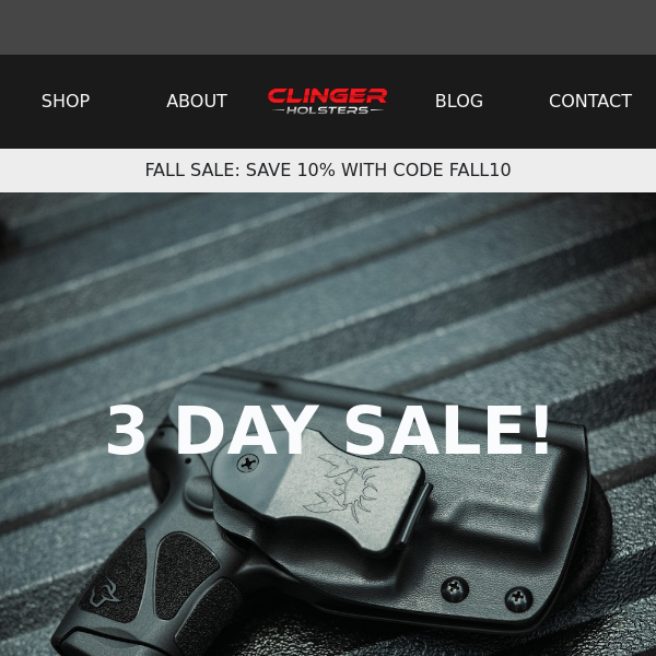 3 DAY SALE!