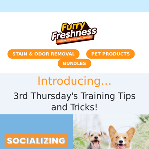 Third Thursday's Training Tips & Tricks!