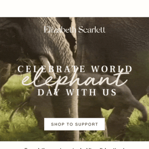 Double Donations Day | Protecting Elephants 🐘