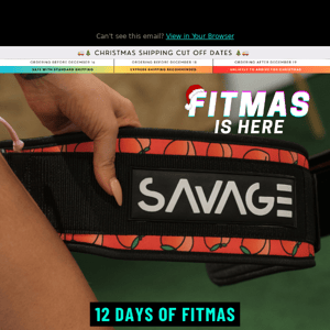 🎄 On The 9th Day of Fitmas Savage gave to me...🎅