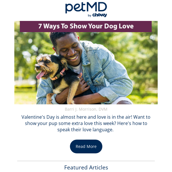 7 Ways To Show Your Dog You Love Them