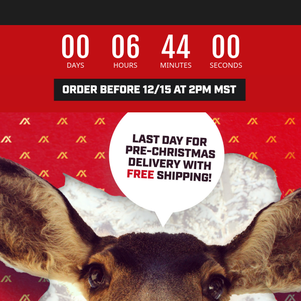 Last Day for Free Shipping