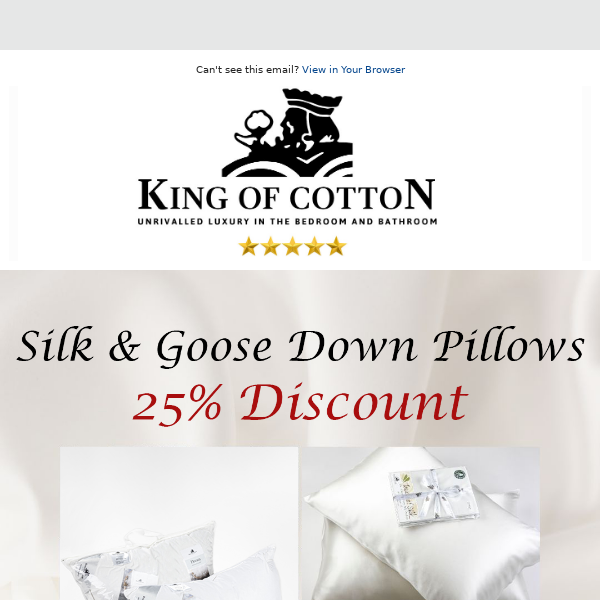 25% Off Silk & Goose Down Pillows This Weekend!
