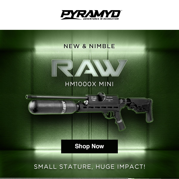 The New RAW HM1000X Mini