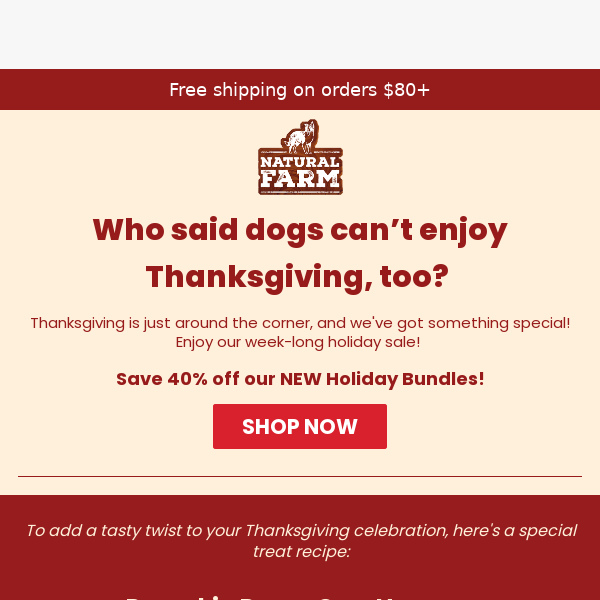 40% Off Bundles + Thanksgiving Recipes!