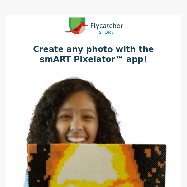 Best Buy: smART Pixelator SPX596