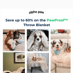🐶 Up to 60% OFF the PawProof™ Blanket