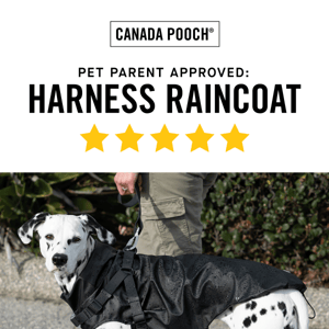 Pet Parent Approved: The Harness Raincoat ️☔