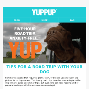 Tips for Road Trips With Your Dog