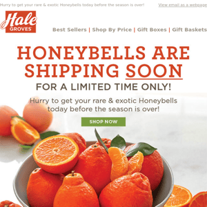 Honeybells Are Shipping SOON- for a Limited Time Only!