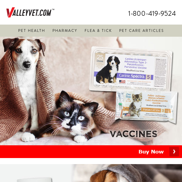 🐾 Pawsitive Protection: Pet Vaccines