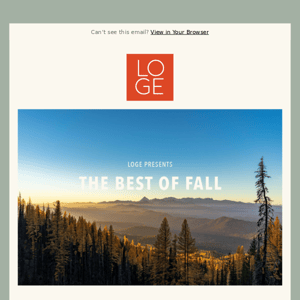 The best of fall according to every LOGE location