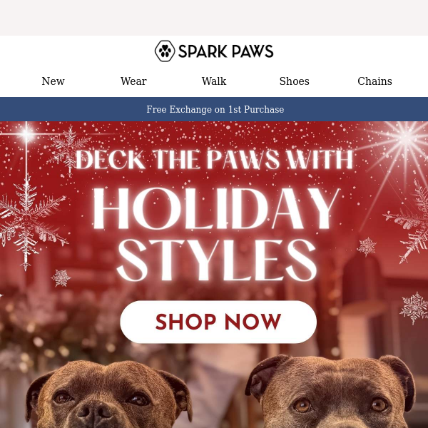 Deck the paws with holiday stylest 🎁🎄