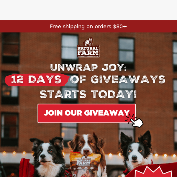 Giveaway Alert: 12 days, 12 pawsome prizes!